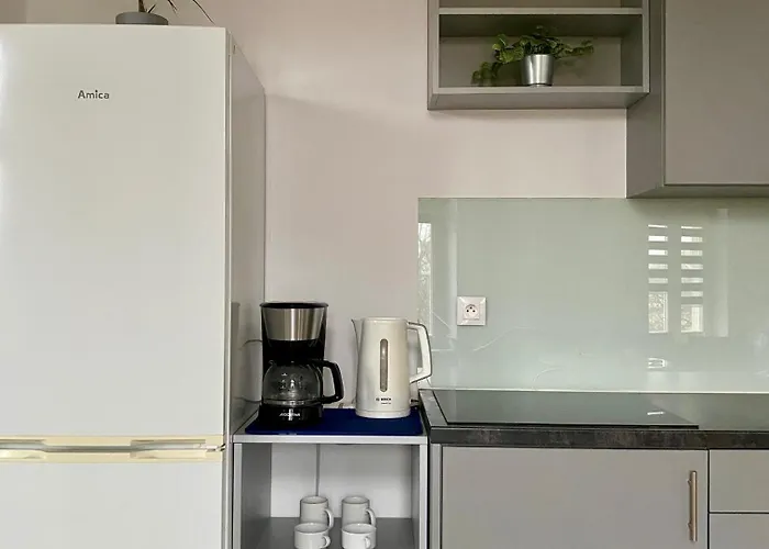 Appartamento Poznan Rents - Old Town Apartments Mostowa Parking Free